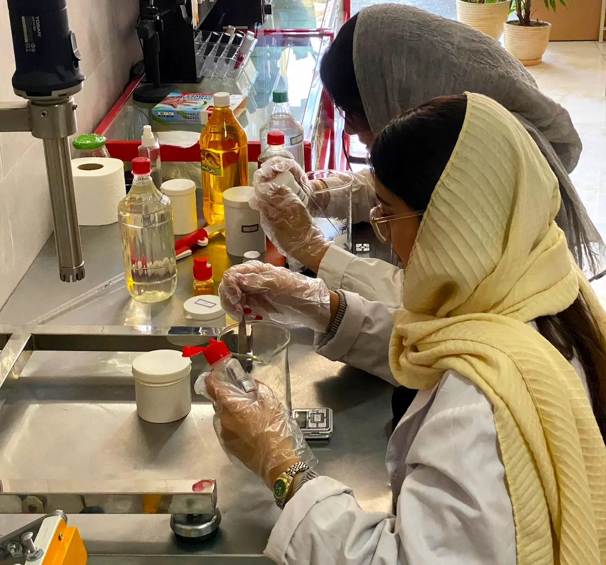 با برند ژربرا (GERBERA) آشنا شوید|تولید کننده محصولات مراقبتی و درمانی/تیم گارکاهی ژربرا برند محصولات مراقبتی و آرایشی طبیعی